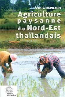 agriculture_thailande